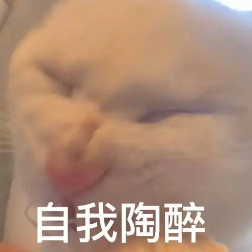  g的猫表情包合集2