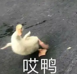  谁穿谁丑的猪蹄鞋,我跪求你千万别买
