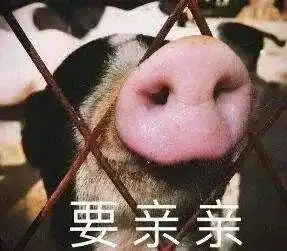  据说这是女生的最佳鞋跟高度