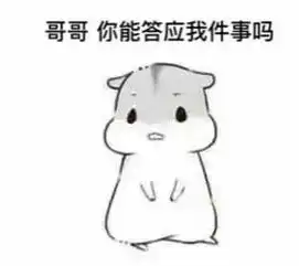  表情包是什么给你信心,认为自己是最好看的小仙女是梦吗