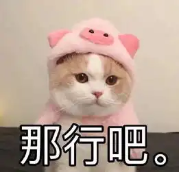 猫咪表情包你们玩吧,我已经没有钱了