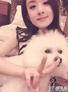  刘亦菲范爷赵丽颖杨幂郑爽宅子都很豪,品位又如何