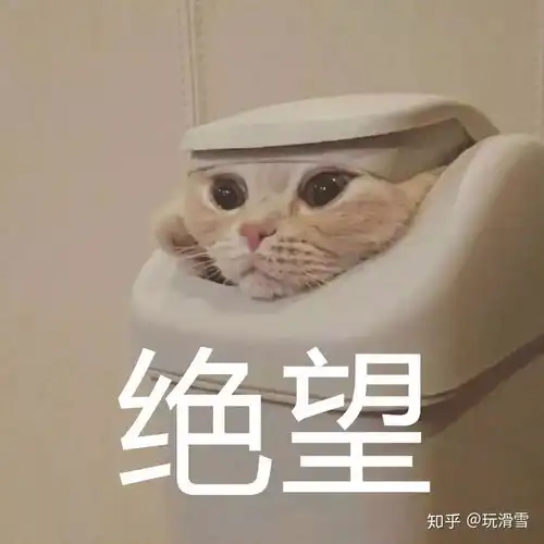  玩滑雪雪圈怼人专用表情包