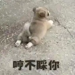 瞎说什么实话表情包nett
