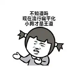  有关胸小的表情包