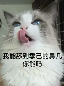  男朋友特喜欢养猫,而我极其厌恶养猫受不了猫屎,猫毛,以及破坏力应该怎么办