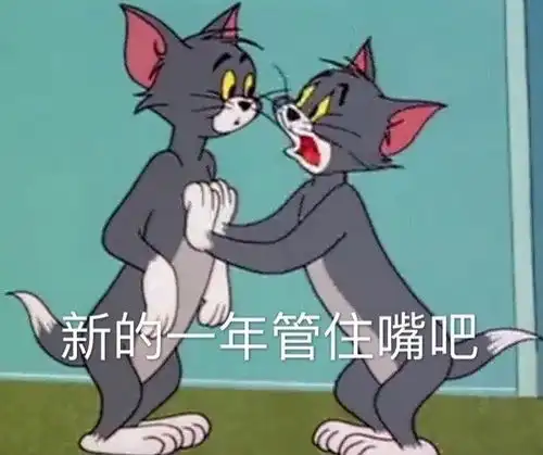  为什么讨厌有人维护subs,说再给他一次机会