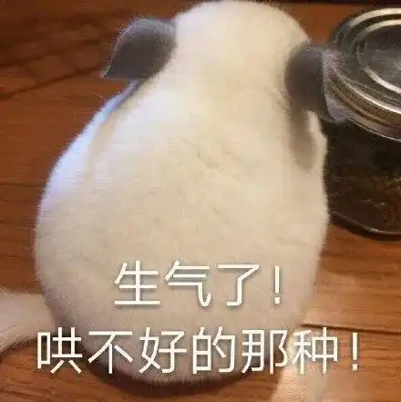  表情包生气了,哄不好的那种