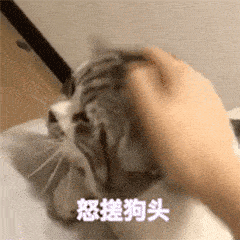  小狗头的聊天动态表情图