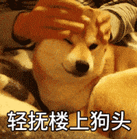  小狗头的聊天动态表情图