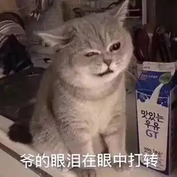  爽雨后又降温,南京未来天气