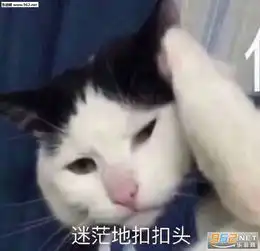  一心向学拒绝诱惑图片迷茫的扣扣头表情包下载乐游网游戏下载