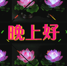  最新漂亮晚上好动态表情包晚安问候语温馨简短一句话