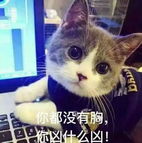  表情包求求你不要再说了
