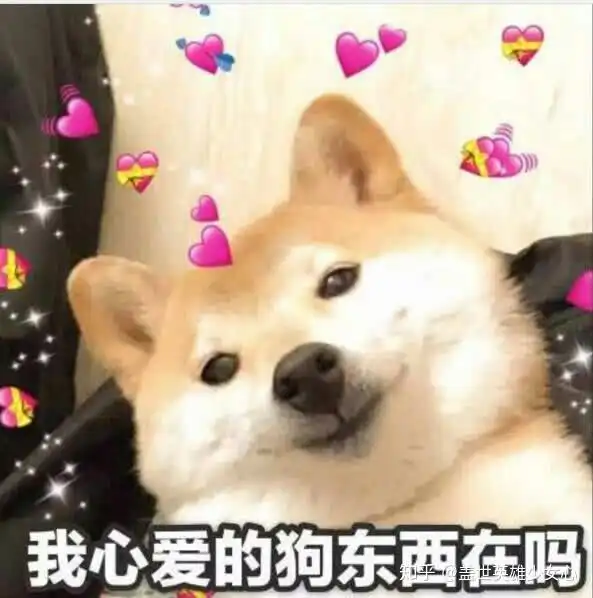  有哪些适用于和男盆友日常聊天撒娇的表情包