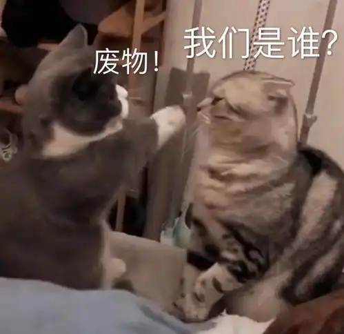  沙雕表情包l这肯定不是我的问题