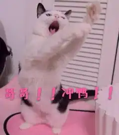  猫咪撩人表情包16张超级超级喜欢你心跳加速