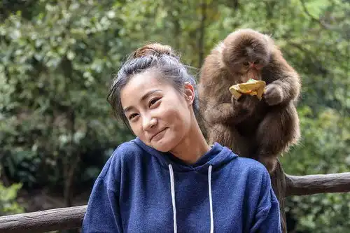  用两天时间去峨眉山逗猴子,然后住在金顶看日出