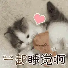 睡觉表情包高清猫咪