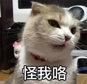  猫屎那么臭,你没想过是这个原因吗