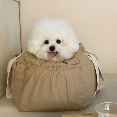 可爱图片