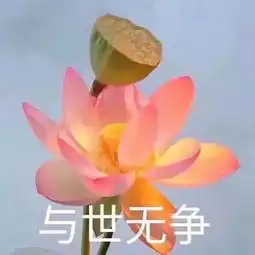 希望他人好运的表情包
