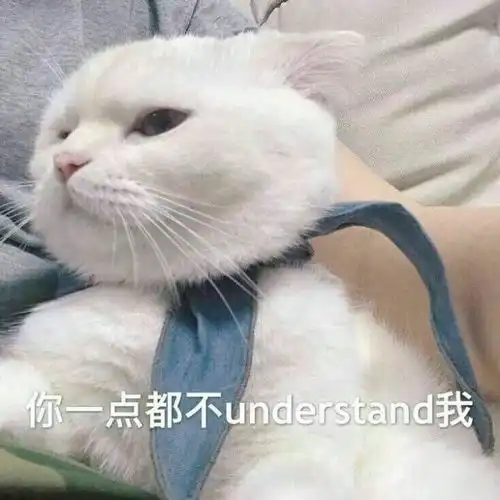  有没有适合和喜欢的人聊天发的表情包