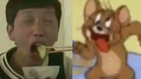  我与傻狗的日常生活吃瓜篇