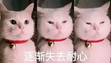  招聘叮毛小汪你的开学生活或许还差我们