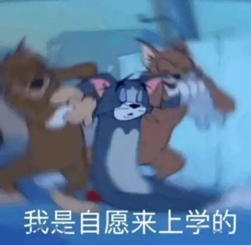  补作业表情包你的作业写完了吗