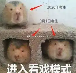 做男人好难表情包表情