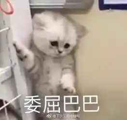  我真人素颜6分,可拍照p图后,却只剩了3分...