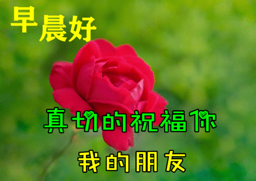  初秋非常漂亮的美女早上好问候表情图片带字带祝福语