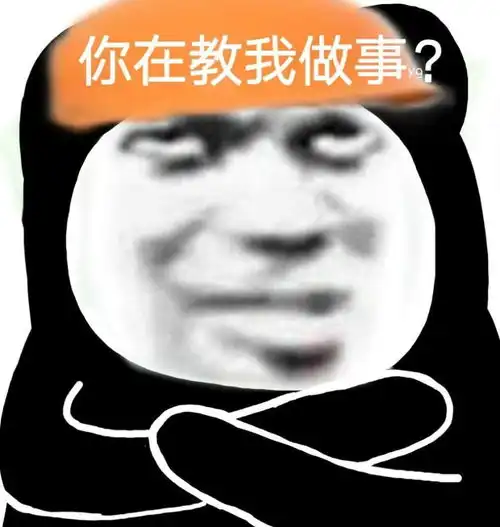  沙雕表情包你在教我做事