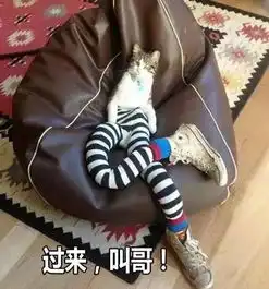  大长腿性感小野猫,来呀,快活啊