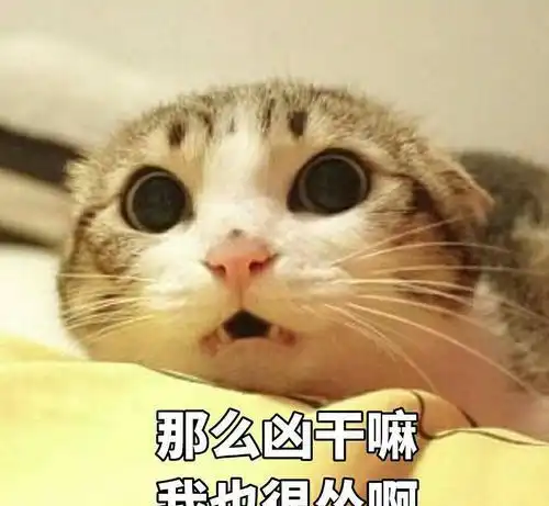  你有没有想过猫咪呼噜声是怎么发出来的这应该是最硬核的科普