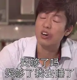  洪世贤表情包你要是这样想,我也没办法