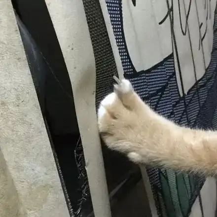  猫我妈三天没打我,给她设计个星空窗帘开心开心