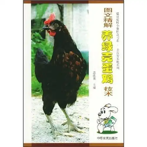  图文精解养绿壳蛋鸡技术