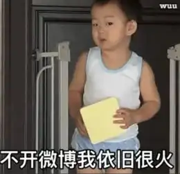  第一届儿童表情包大赛