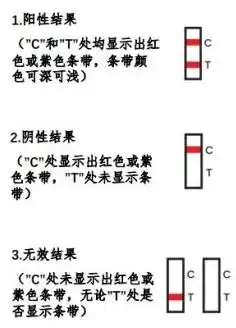  新冠病毒抗原自测结果怎么看附图