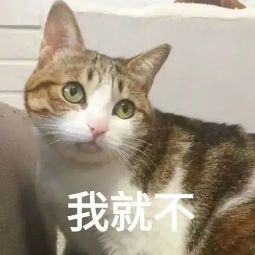  开播豆瓣8.9,这部19禁韩剧虽然三观碎一地但是真的好看