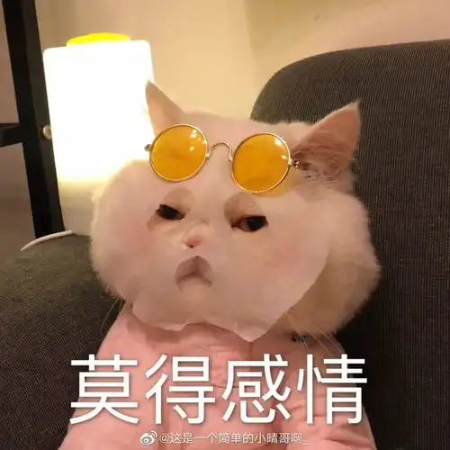  这个春节,疯了疯了