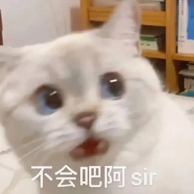 huh猫表情包动图乱象丛