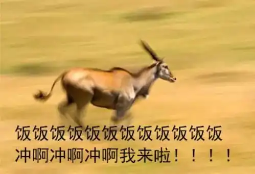  本人女会计,征对象,真的挺急的