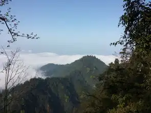  被泼猴狂虐的悲催峨眉山乐山大佛徒步登顶之旅oo更新中...