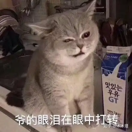  你们有没有梦见过自己喜欢的明星