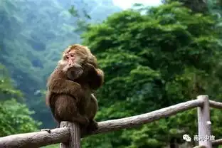  趁住有优惠,想玩转这个涅槃重生的人气景点,就快来抢位喇