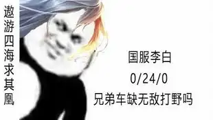  李白一打五,实力秀懵对手,残血拿下五杀