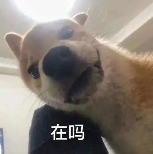  表情包大哥你听我一句劝